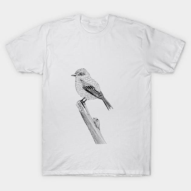 Vermillion Flycatcher Bird T-Shirt by nuruveyik